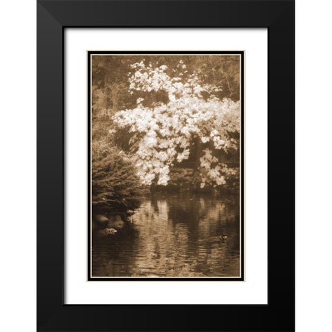 Autumn Reflections I Black Modern Wood Framed Art Print with Double Matting by Geyman, Vitaly