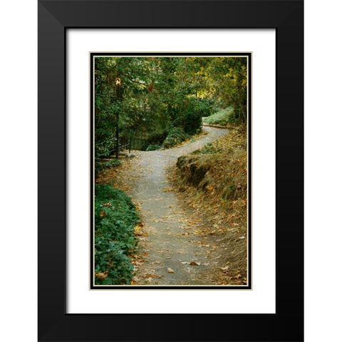 Autumn Path II Black Modern Wood Framed Art Print with Double Matting by Geyman, Vitaly