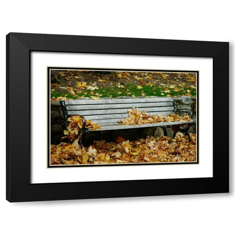 Autumn Paradise II Black Modern Wood Framed Art Print with Double Matting by Geyman, Vitaly