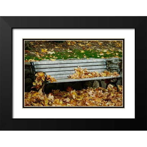 Autumn Paradise II Black Modern Wood Framed Art Print with Double Matting by Geyman, Vitaly