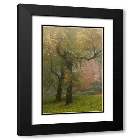 Colors in the Mist VI Black Modern Wood Framed Art Print with Double Matting by Geyman, Vitaly