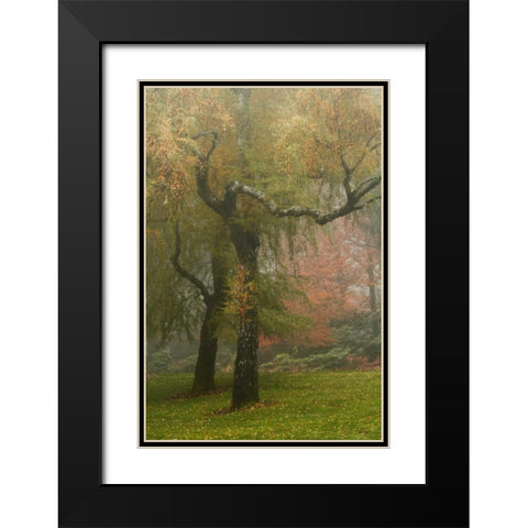 Colors in the Mist VI Black Modern Wood Framed Art Print with Double Matting by Geyman, Vitaly