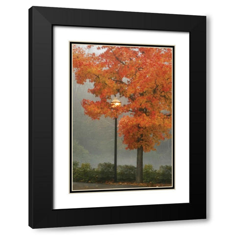 Colors in the Mist II Black Modern Wood Framed Art Print with Double Matting by Geyman, Vitaly