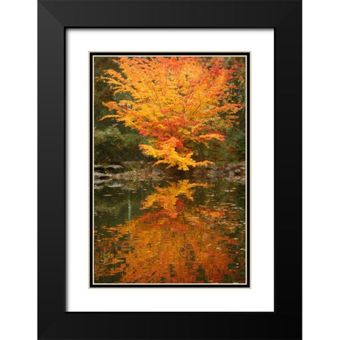 Fall Bouquet II Black Modern Wood Framed Art Print with Double Matting by Geyman, Vitaly
