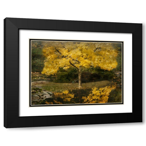 Autumn Reflections III Black Modern Wood Framed Art Print with Double Matting by Geyman, Vitaly