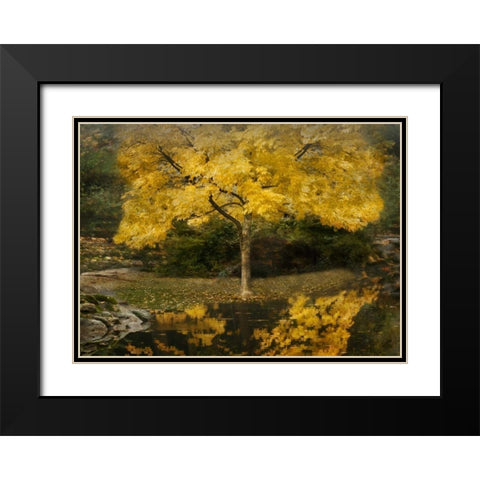 Autumn Reflections III Black Modern Wood Framed Art Print with Double Matting by Geyman, Vitaly