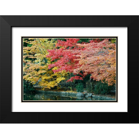 Autumn Trio I Black Modern Wood Framed Art Print with Double Matting by Geyman, Vitaly