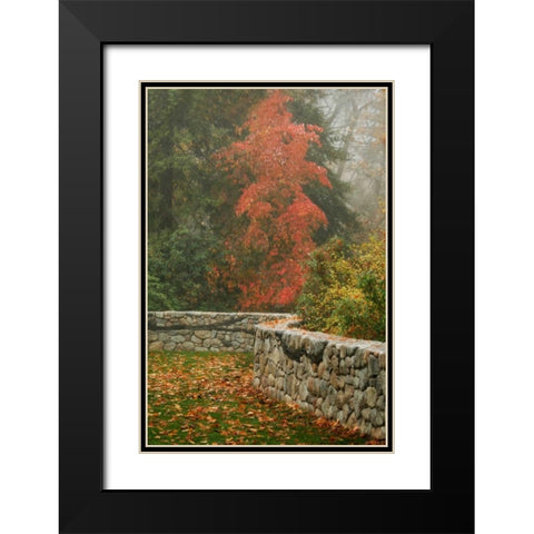 Fence Mosaic I Black Modern Wood Framed Art Print with Double Matting by Geyman, Vitaly