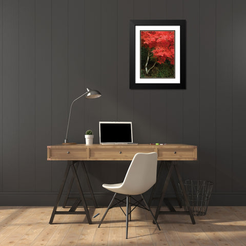 Maple Beauty I Black Modern Wood Framed Art Print with Double Matting by Geyman, Vitaly