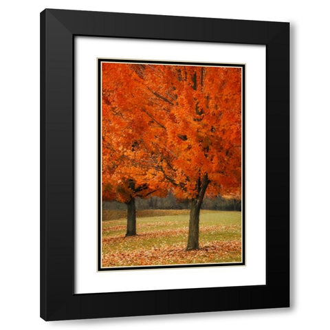 Splash of Color I Black Modern Wood Framed Art Print with Double Matting by Geyman, Vitaly