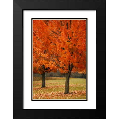 Splash of Color I Black Modern Wood Framed Art Print with Double Matting by Geyman, Vitaly