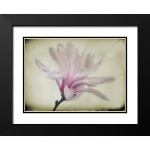 Floral Dreams I Black Modern Wood Framed Art Print with Double Matting by Geyman, Vitaly