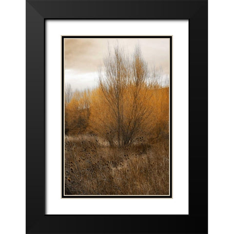 Spring Serenity I Black Modern Wood Framed Art Print with Double Matting by Geyman, Vitaly