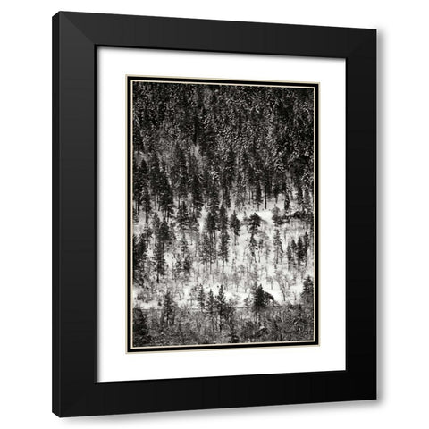 Winter Mosaic II Black Modern Wood Framed Art Print with Double Matting by Geyman, Vitaly