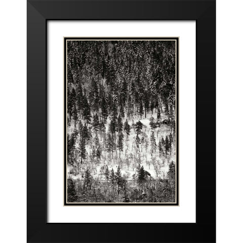 Winter Mosaic II Black Modern Wood Framed Art Print with Double Matting by Geyman, Vitaly