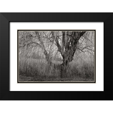 Winters Palace V BandW Black Modern Wood Framed Art Print with Double Matting by Geyman, Vitaly