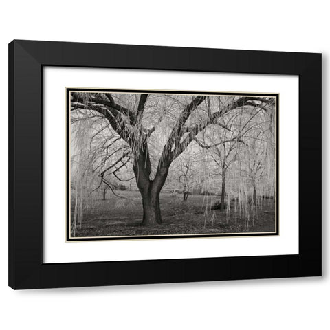 Winters Palace VI BandW Black Modern Wood Framed Art Print with Double Matting by Geyman, Vitaly