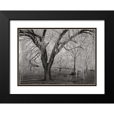 Winters Palace VI BandW Black Modern Wood Framed Art Print with Double Matting by Geyman, Vitaly
