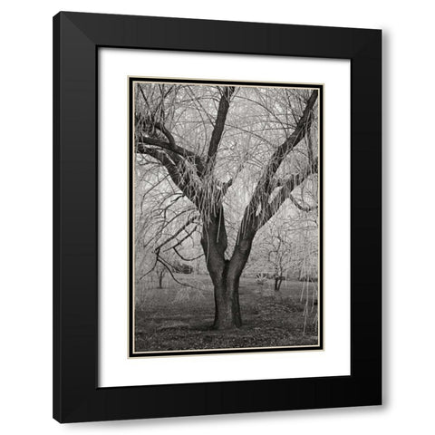 Winters Palace VII BandW Black Modern Wood Framed Art Print with Double Matting by Geyman, Vitaly