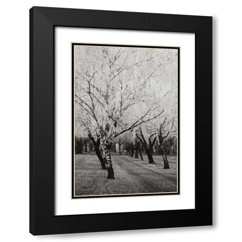Winters Palace VIII BandW Black Modern Wood Framed Art Print with Double Matting by Geyman, Vitaly