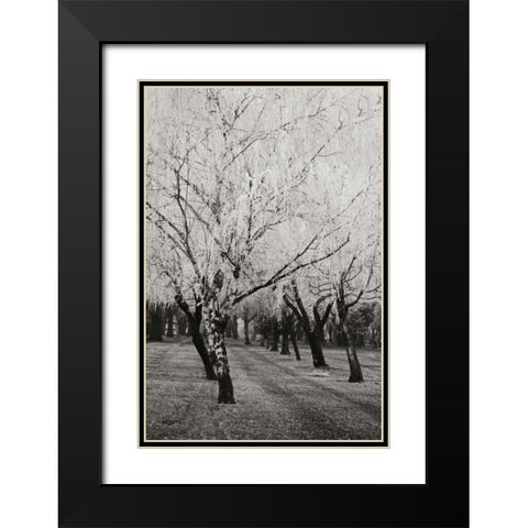 Winters Palace VIII BandW Black Modern Wood Framed Art Print with Double Matting by Geyman, Vitaly
