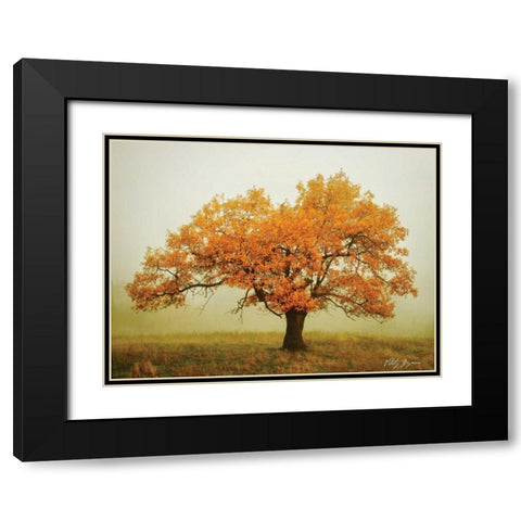 Misty V Black Modern Wood Framed Art Print with Double Matting by Geyman, Vitaly