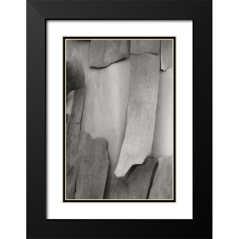 Madrone Mosaic I Black Modern Wood Framed Art Print with Double Matting by Geyman, Vitaly