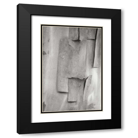 Madrone Mosaic II Black Modern Wood Framed Art Print with Double Matting by Geyman, Vitaly