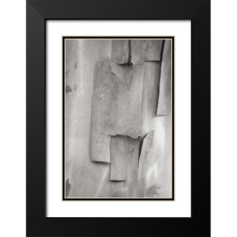 Madrone Mosaic II Black Modern Wood Framed Art Print with Double Matting by Geyman, Vitaly