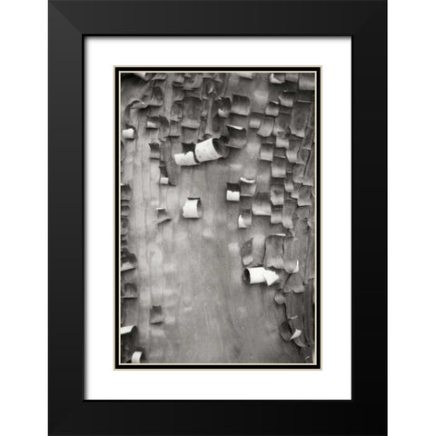 Menzanita Mosaic I Black Modern Wood Framed Art Print with Double Matting by Geyman, Vitaly