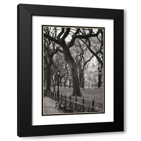 Central Park Dancers II Black Modern Wood Framed Art Print with Double Matting by Vitaly, Geyman