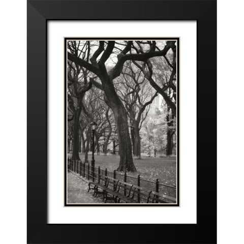 Central Park Dancers II Black Modern Wood Framed Art Print with Double Matting by Vitaly, Geyman