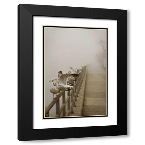 Seagul Paradise II Black Modern Wood Framed Art Print with Double Matting by Vitaly, Geyman