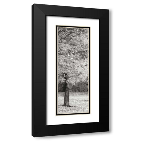 Spash of Color IV BandW Black Modern Wood Framed Art Print with Double Matting by Geyman, Vitaly