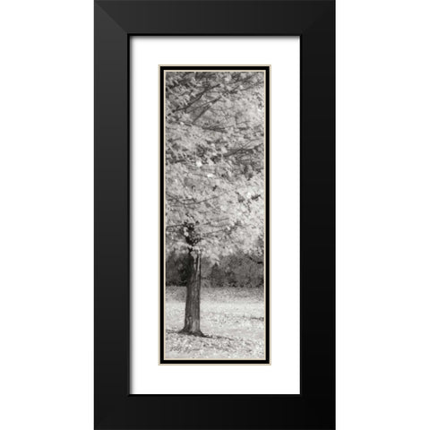 Spash of Color IV BandW Black Modern Wood Framed Art Print with Double Matting by Geyman, Vitaly