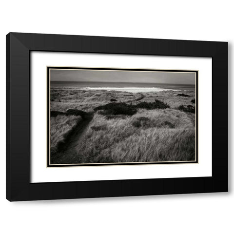 Coastal Spirit II Black Modern Wood Framed Art Print with Double Matting by Geyman, Vitaly