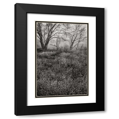 Country Serenity I Black Modern Wood Framed Art Print with Double Matting by Geyman, Vitaly