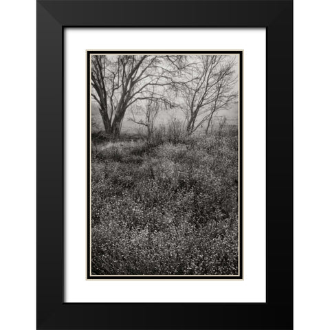 Country Serenity I Black Modern Wood Framed Art Print with Double Matting by Geyman, Vitaly