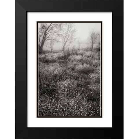 Country Serenity II Black Modern Wood Framed Art Print with Double Matting by Geyman, Vitaly