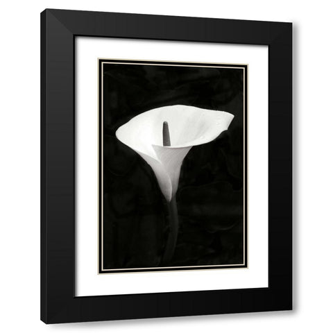 Calla Lily Perfection III Black Modern Wood Framed Art Print with Double Matting by Geyman, Vitaly