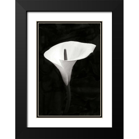 Calla Lily Perfection III Black Modern Wood Framed Art Print with Double Matting by Geyman, Vitaly