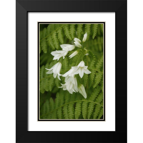 Gentle Bells II Black Modern Wood Framed Art Print with Double Matting by Geyman, Vitaly