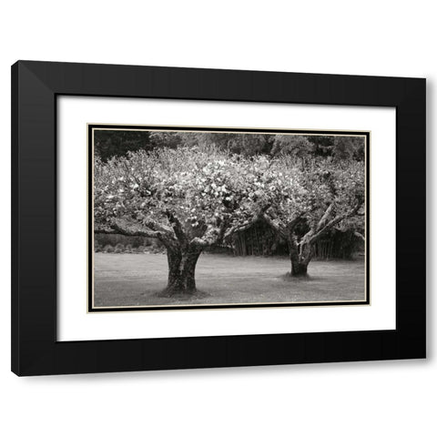 Orchard Serenity I Black Modern Wood Framed Art Print with Double Matting by Geyman, Vitaly