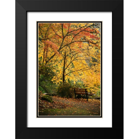 Fall Abundance I Black Modern Wood Framed Art Print with Double Matting by Geyman, Vitaly