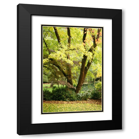 Fall Abundance II Black Modern Wood Framed Art Print with Double Matting by Geyman, Vitaly