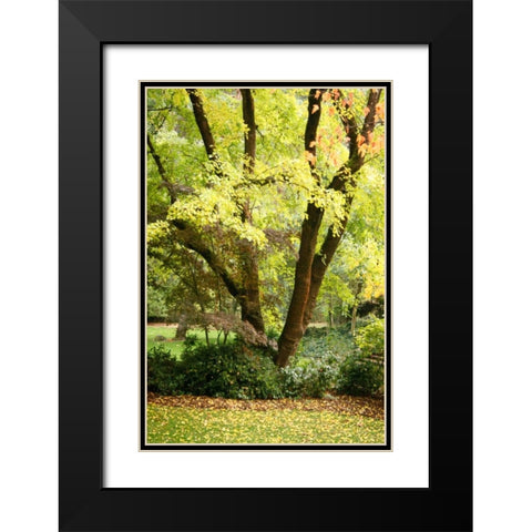 Fall Abundance II Black Modern Wood Framed Art Print with Double Matting by Geyman, Vitaly