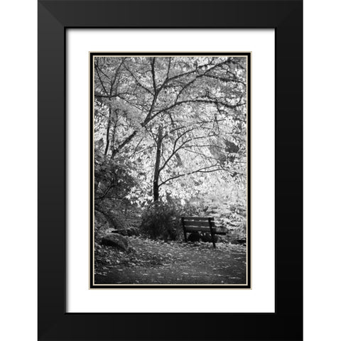 Fall Abundance I B and W Black Modern Wood Framed Art Print with Double Matting by Geyman, Vitaly