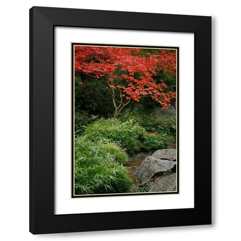 Fall Abundance III Black Modern Wood Framed Art Print with Double Matting by Geyman, Vitaly