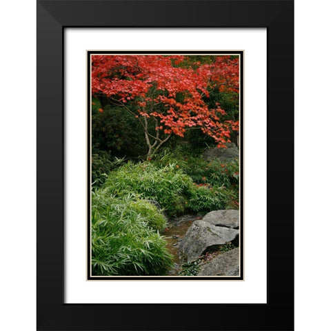 Fall Abundance III Black Modern Wood Framed Art Print with Double Matting by Geyman, Vitaly