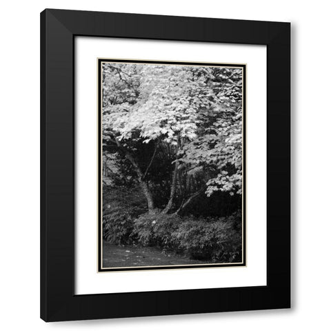 Fall Abundance IV B and W Black Modern Wood Framed Art Print with Double Matting by Geyman, Vitaly